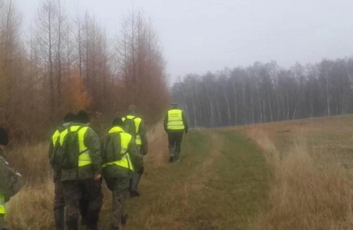 {Na terenie nadleśnictw Bartoszyce i Górowo Iławeckie trwa akcja poszukiwania martwych dzików.}